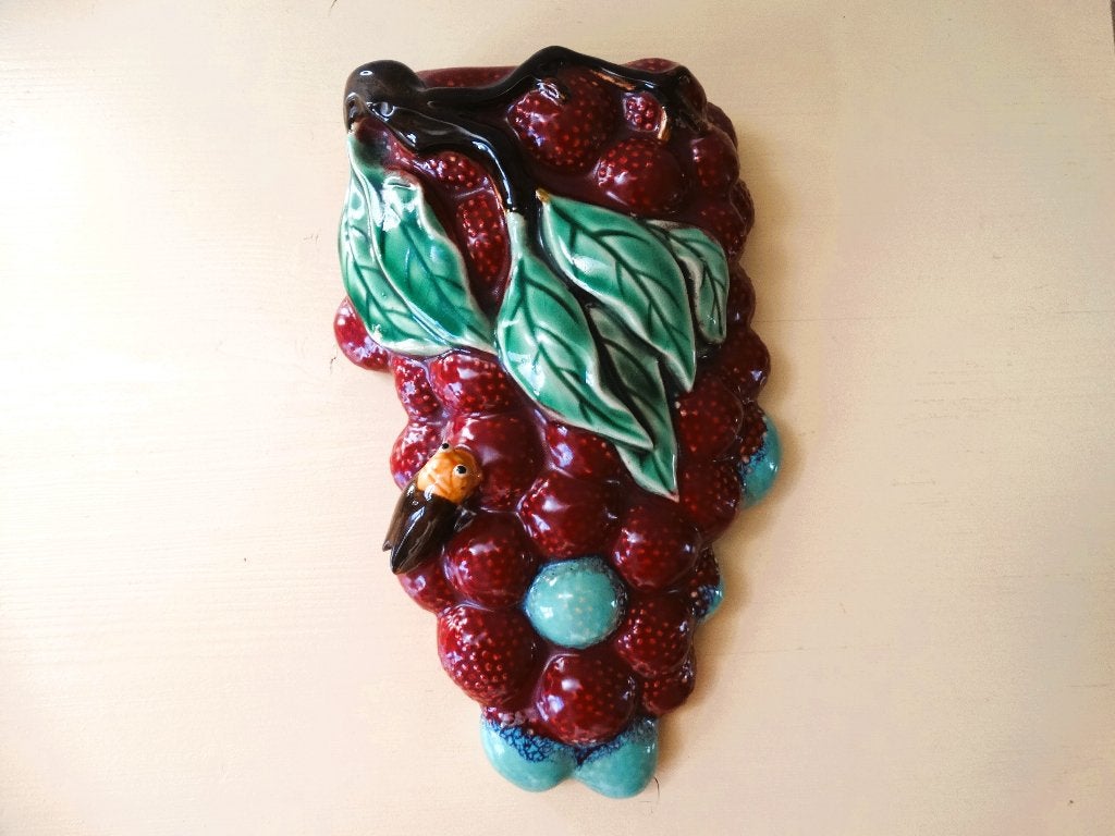 Wandvaas, muurvaas, radiatorvaas, radiator insect op fruit, Ophalen of Verzenden