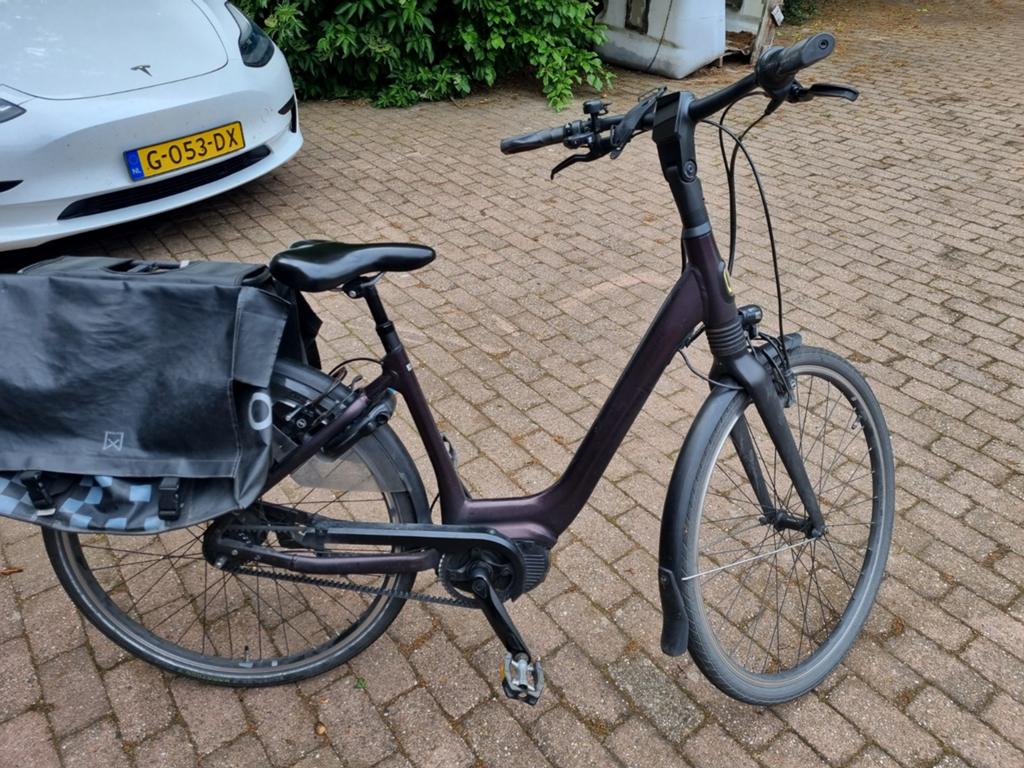 Giant Elektrische fiets. Maat S  48 a 49., Fietsen en Brommers, 47 tot 50 cm, Ophalen of Verzenden, Gebruikt, Giant