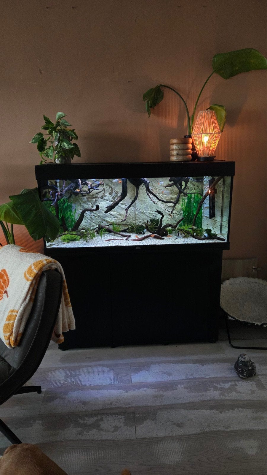 Juwel rio 240, Ophalen, Gebruikt, Gevuld zoetwateraquarium, Juwel