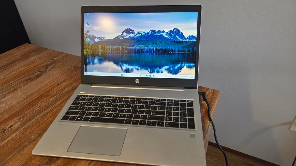 HP ProBook 450 G6 - i5-8265U, 16GB RAM, 256GB SSD, Computers en Software, Windows Laptops, 2 tot 3 Ghz, Ophalen of Verzenden, Zo goed als nieuw