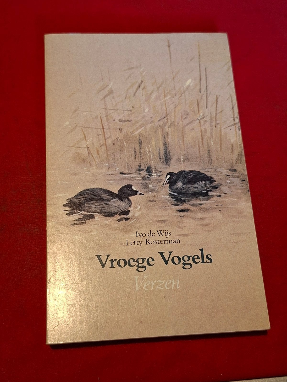 GESIGNEERD Vroege vogels. Ivo de Wijs en Letty Kosterman., Boeken, Ophalen of Verzenden, Gelezen