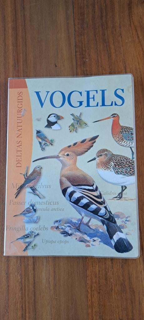 Vogels, Ophalen of Verzenden, Zo goed als nieuw, Vogels