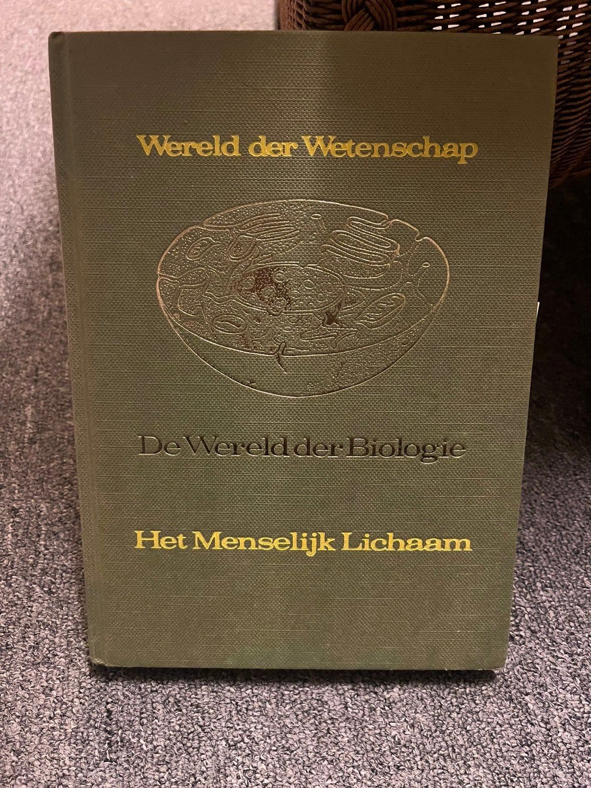 oud boek wereld der wetenschap “het menselijk lichaam” 1966, Boeken, Wetenschap, Ophalen of Verzenden, Zo goed als nieuw
