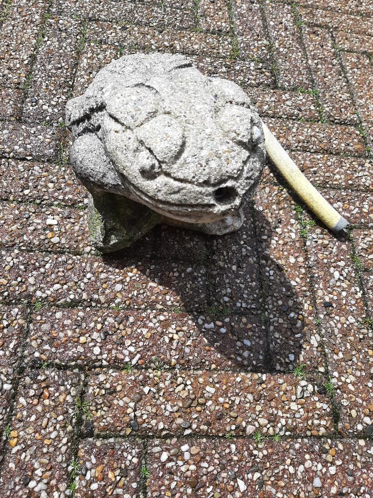 Waterornament kikker, Tuin en Terras, Ophalen, Gebruikt, Beton, Waterornament