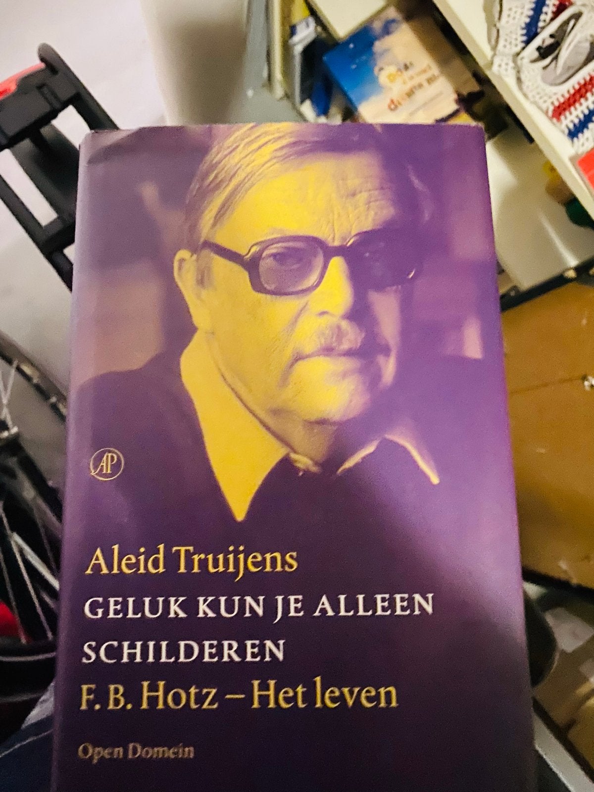 Geluk kun je alleen schilderen - F.B. Hotz, Boeken, Ophalen of Verzenden, Gelezen, Overige