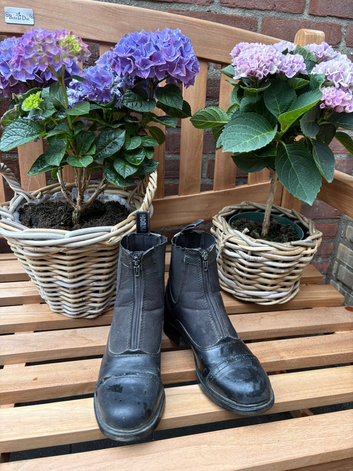 Horka Jodhpurs maat 35, Ophalen of Verzenden, Zo goed als nieuw, Dressuur, Schoeisel