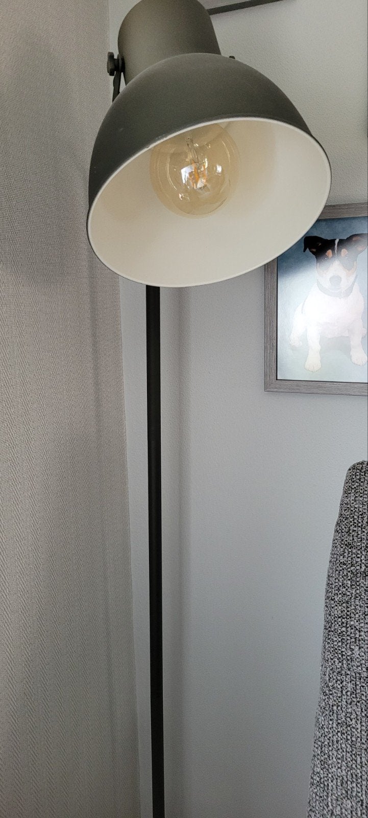 Hectorlamp, Ophalen, Zo goed als nieuw, Metaal, 150 tot 200 cm
