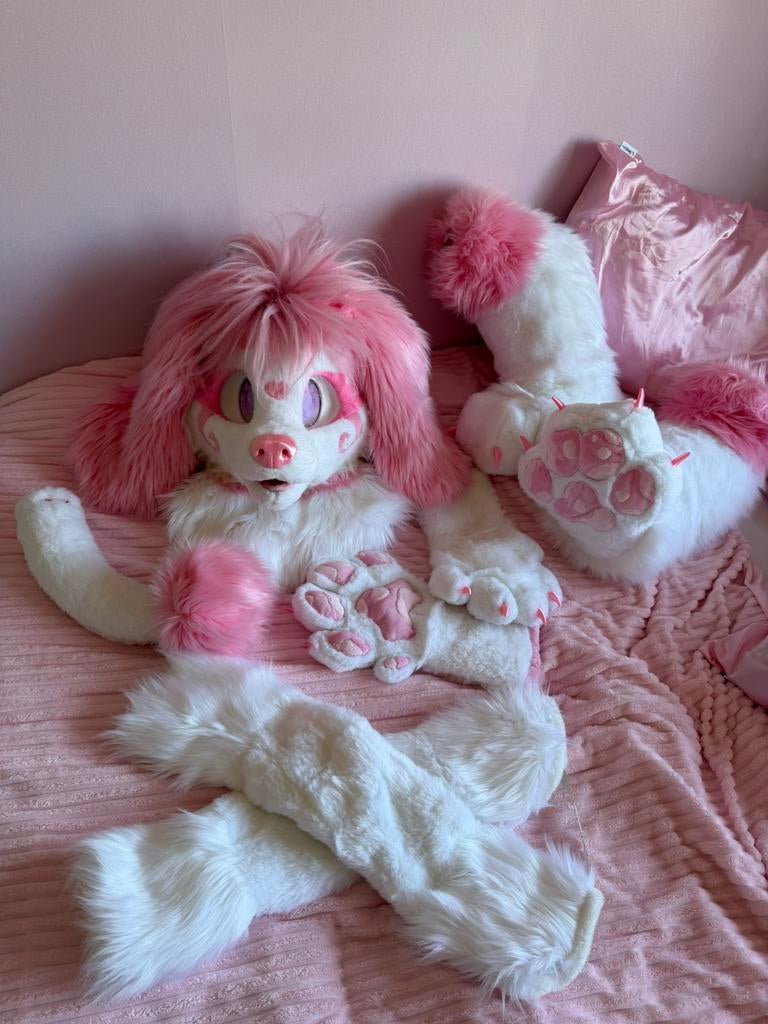 Fursuit poodle full partial, Ophalen of Verzenden, Nieuw, Overige typen