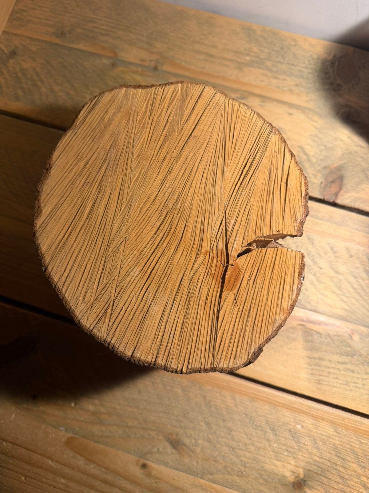 Boomstam met wieltjes woon decoratie boom hout stam, Ophalen of Verzenden, Zo goed als nieuw