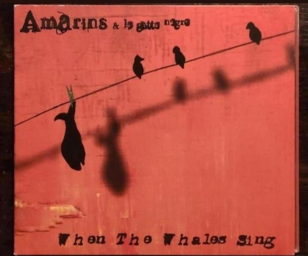 Amarins & la Gatta Negra - When The Whales Sing CD (Folkpop), Cd's en Dvd's, Cd's | Pop, Zo goed als nieuw, Ophalen of Verzenden