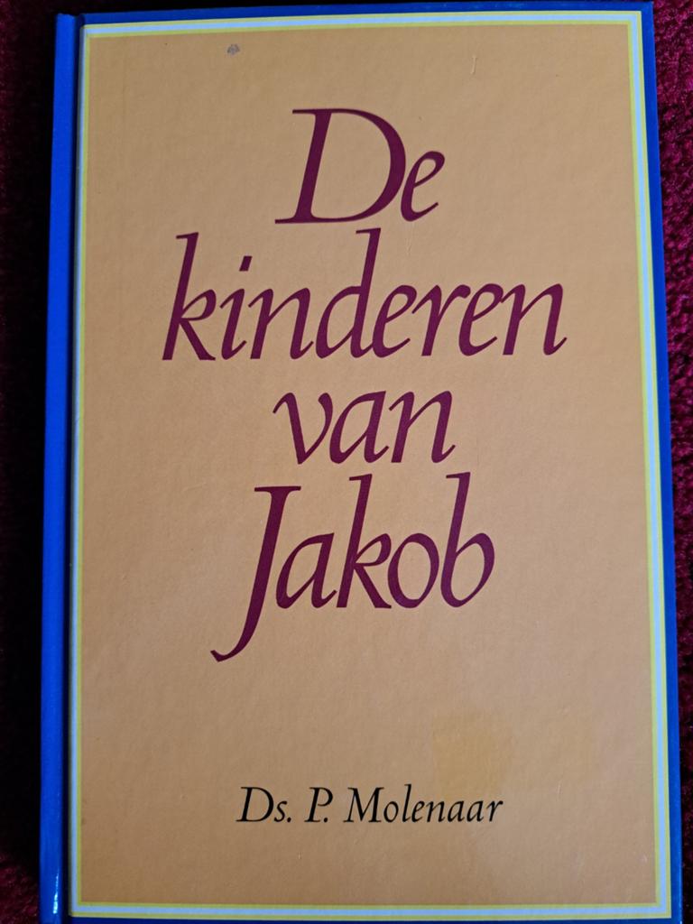 Hans Molenaar - Kinderen van jakob, Ophalen of Verzenden, Gelezen, Hans Molenaar