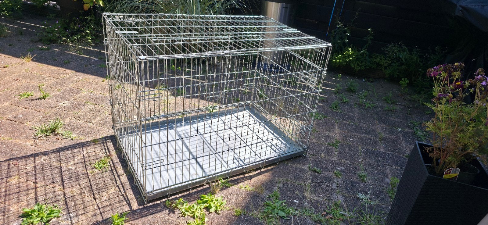 Hondenbench, Dieren en Toebehoren, Ophalen, 75 tot 110 cm, 65 tot 100 cm