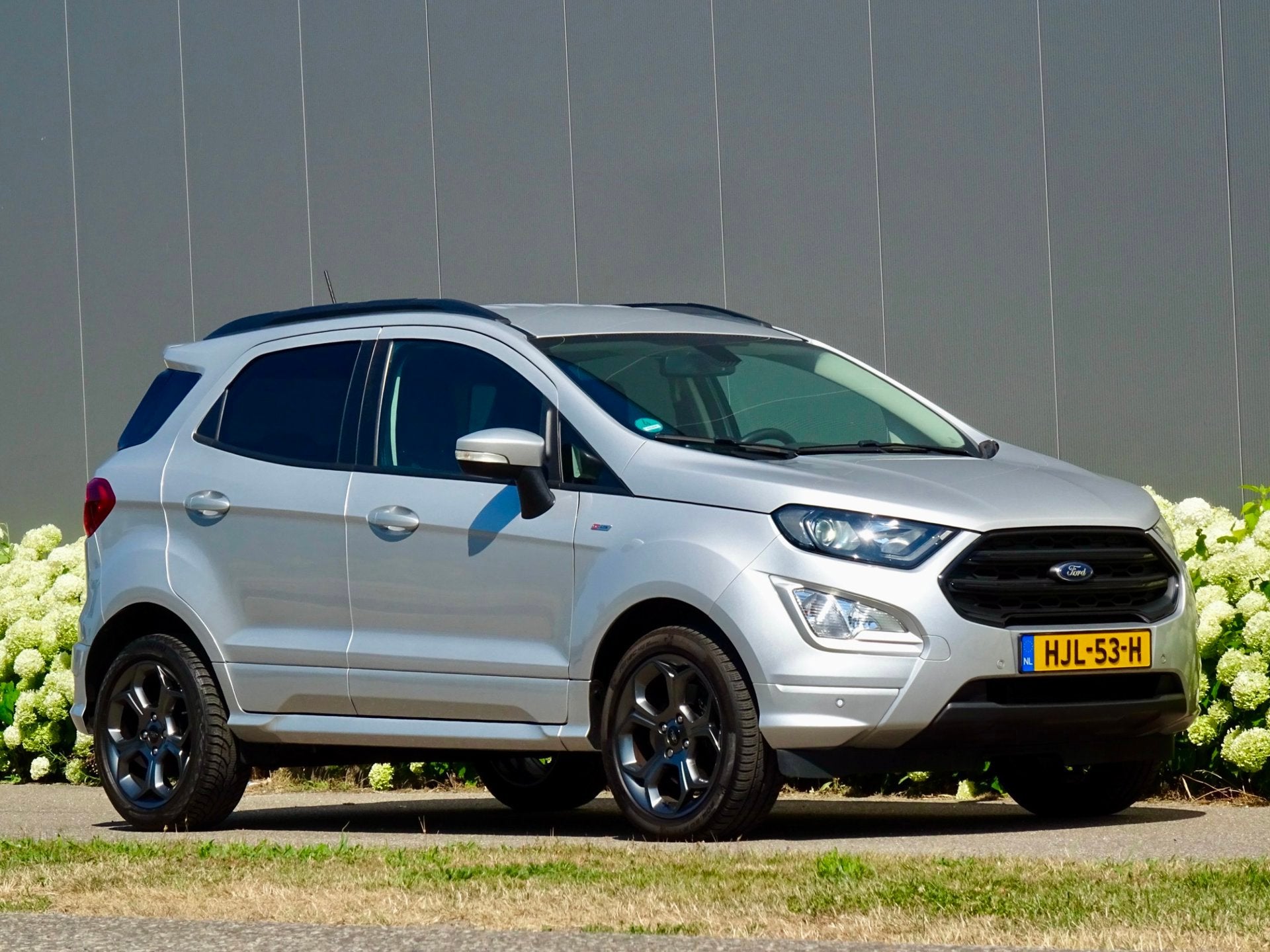 Ford ECOSPORT 1.0 ST-LINE AUT 125pk Sport | Alcantara |, Dealer onderhouden, 125 pk, Gebruikt, Ecosport