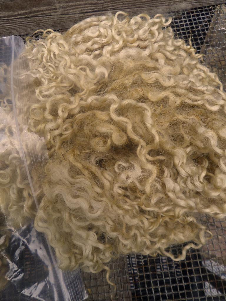 Wensleydale schapenwol spinnen,poppenhaar,vilt gewassen, Ophalen of Verzenden, Nieuw, Spinwol