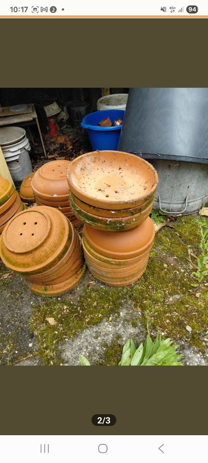 Broed bakken voor duiven, Dieren en Toebehoren