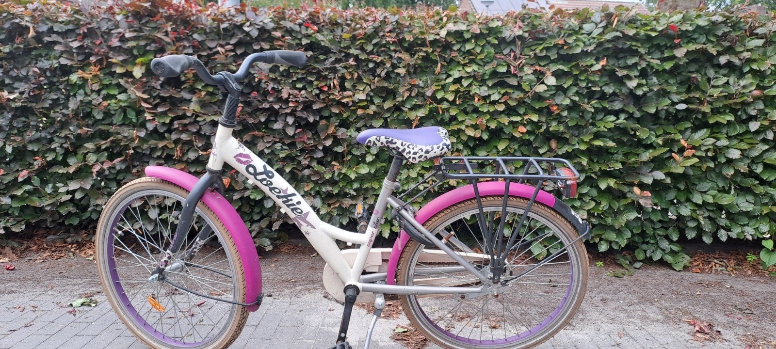 Loekie kinderfiets 22 inch, Ophalen, Terugtraprem, 22 inch, Loekie