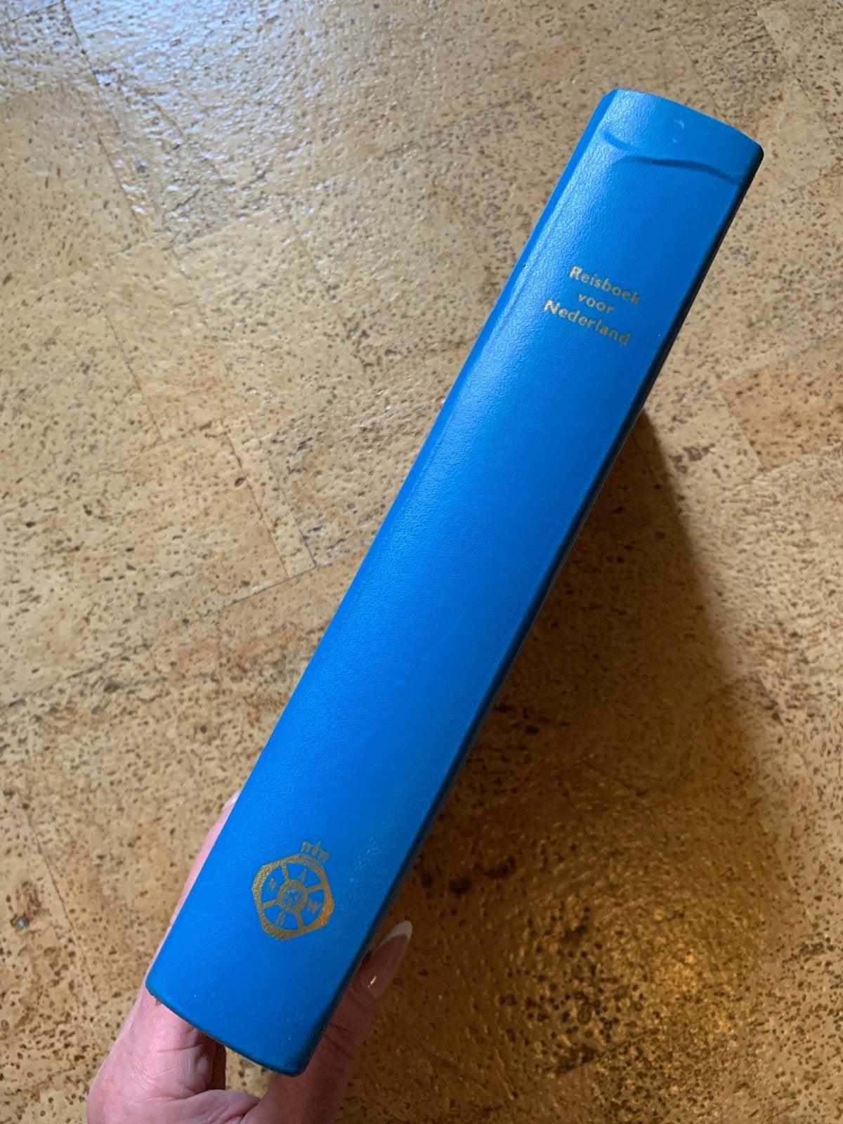 ANWB Reisboek Nederland – klassieke gids & kaarten 1966, Boeken, Reisgidsen, Gelezen, Ophalen of Verzenden, Reisgids of -boek