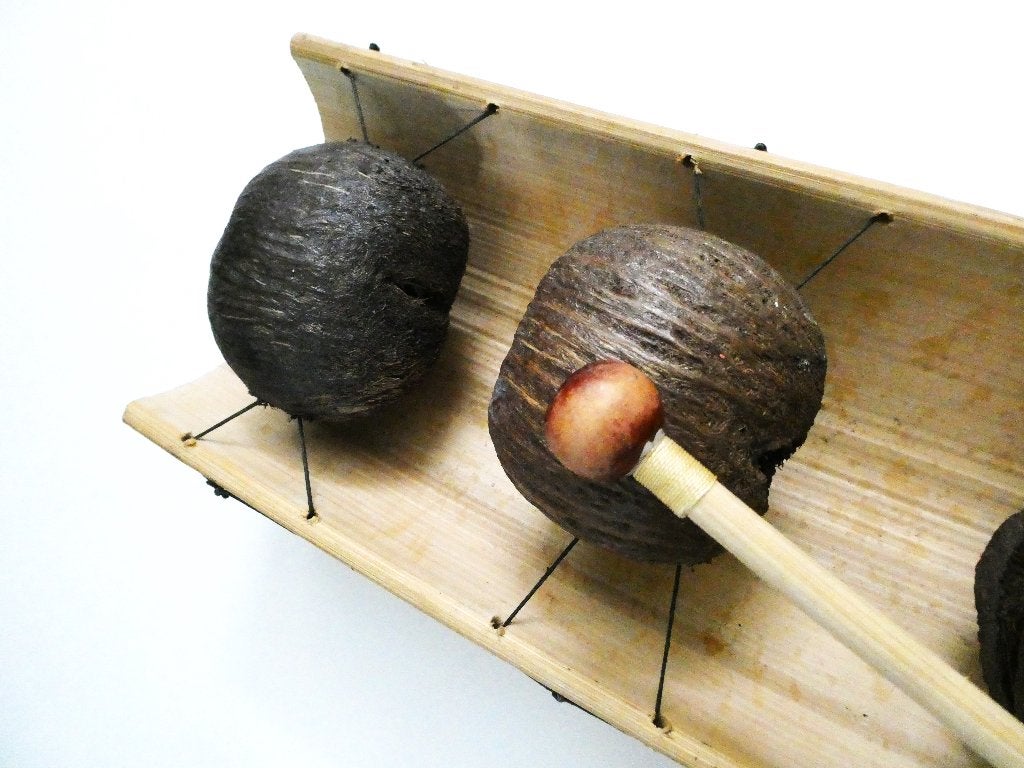 Bamboe / kokosnoot xylofoon percussie - muziek instrument, Ophalen of Verzenden