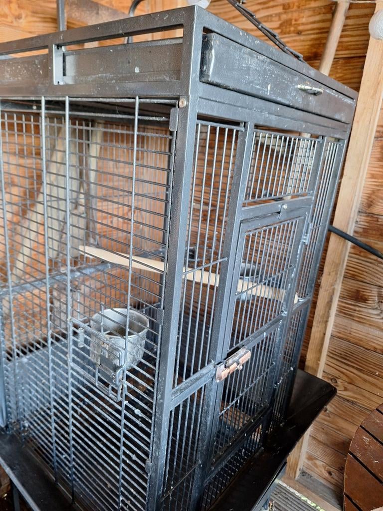 Papegaaien kooi, Dieren en Toebehoren, Ophalen of Verzenden, Zo goed als nieuw, Metaal, Vogelkooi