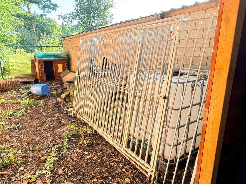Hondenren, Dieren en Toebehoren, Ophalen, 100 cm of meer, Hondenhok, 110 cm of meer