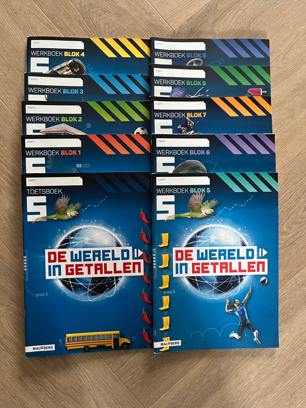 Rekenen groep 5 - De Wereld in Getallen, Ophalen of Verzenden, Zo goed als nieuw, Overige niveaus, Overige vakken