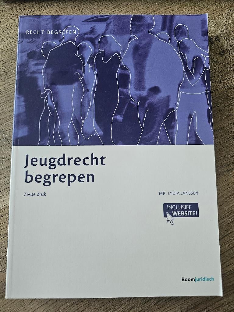 Jeugdrecht begrepen, ISBN 9789462903883, Boeken, Ophalen of Verzenden, Zo goed als nieuw, HBO, Lydia Janssen