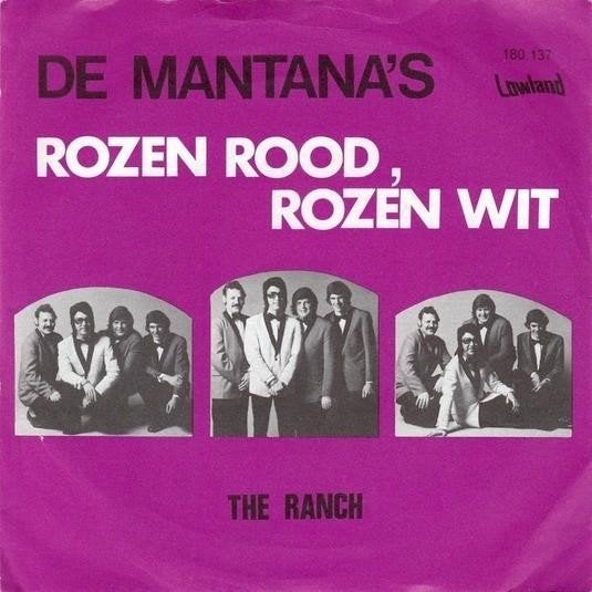 Vinylsingles gezocht zie foto's, Ophalen of Verzenden, Zo goed als nieuw, Overige formaten, Levenslied of Smartlap