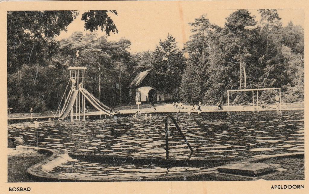 apeldoorn- bosbad, Ophalen of Verzenden, 1940 tot 1960, Gelderland