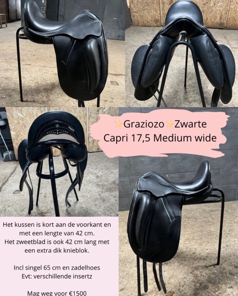 Graziozo capri, Dieren en Toebehoren, Ophalen, Dressuur