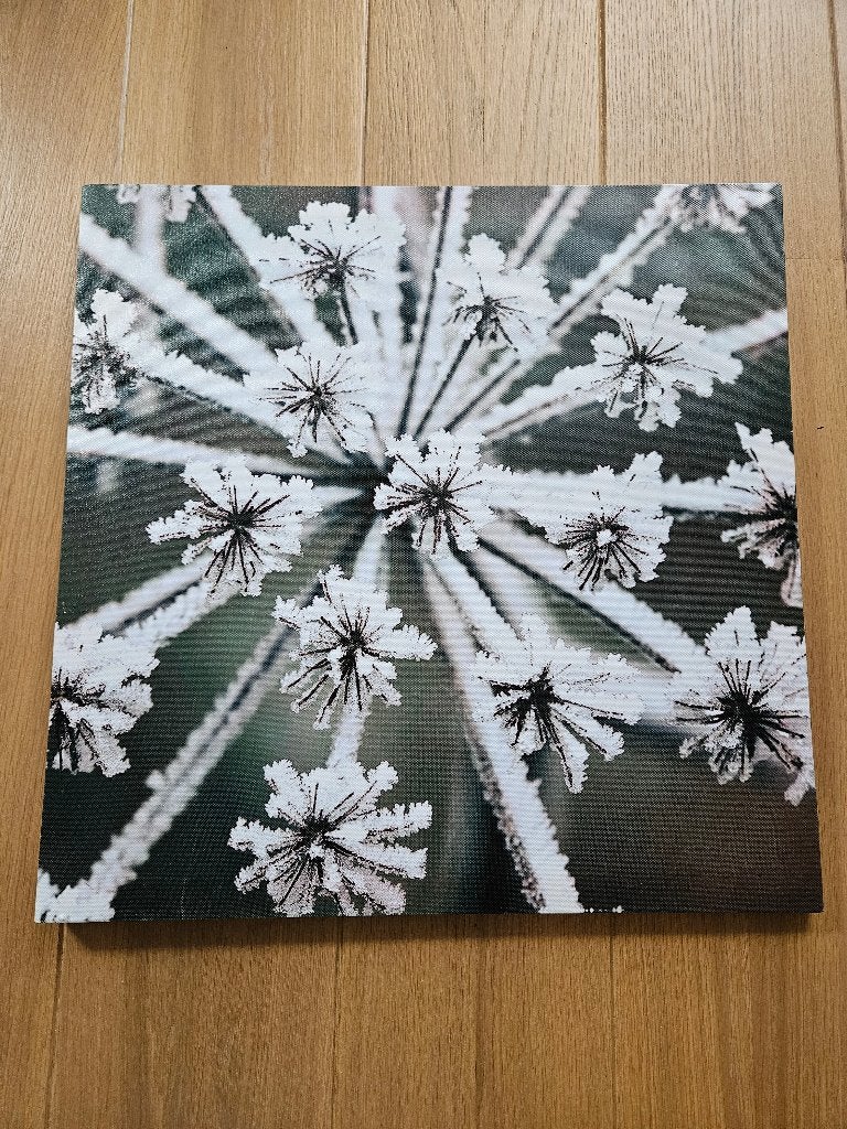 Kerst canvas met lichtjes, 50x50cm, Ophalen of Verzenden, Nieuw
