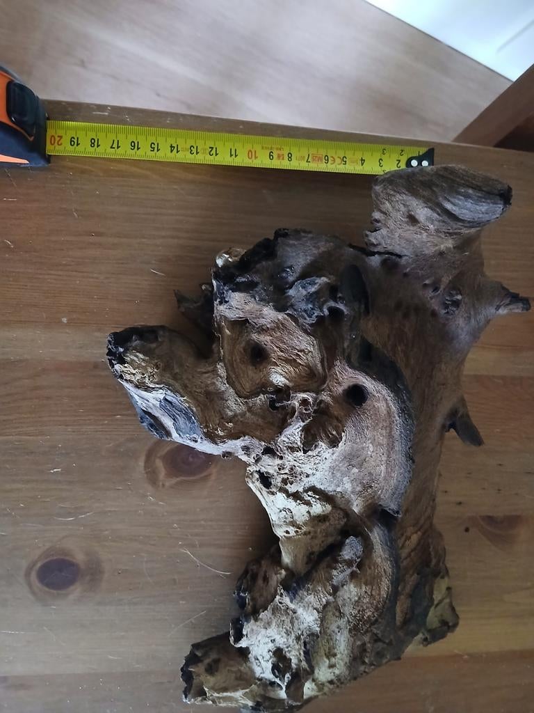 Aquarium hout, Ophalen, Zo goed als nieuw, Plant(en), Steen of Hout