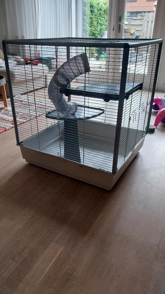 Ferplast ratten en frettenkooi (furet) en toebehoren, Dieren en Toebehoren, Ophalen, Kooi, Gebruikt, 60 tot 90 cm