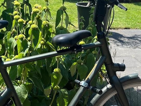Zadeltje voor op stang, Ophalen, Gebruikt