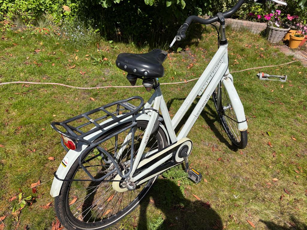 BSP Bold Damesfiets - Stijlvol en Robuust, Fietsen en Brommers, Fietsen | Dames | Damesfietsen, Terugtraprem, Gebruikt, 50 tot 53 cm