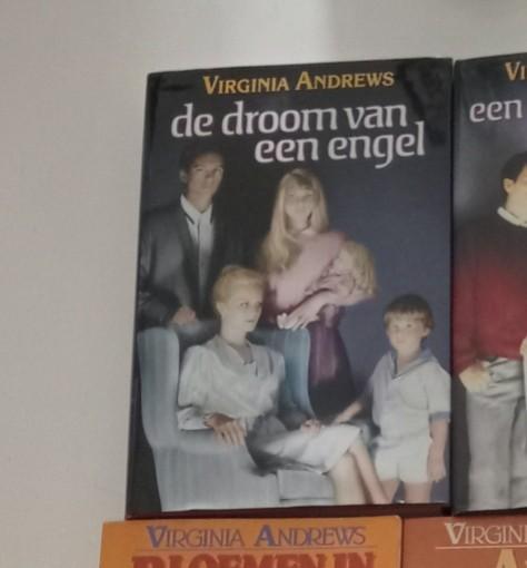 Virginia Andrews Boeken - Diverse Titels, Ophalen of Verzenden, Gelezen, Virginia Andrews, Nederland