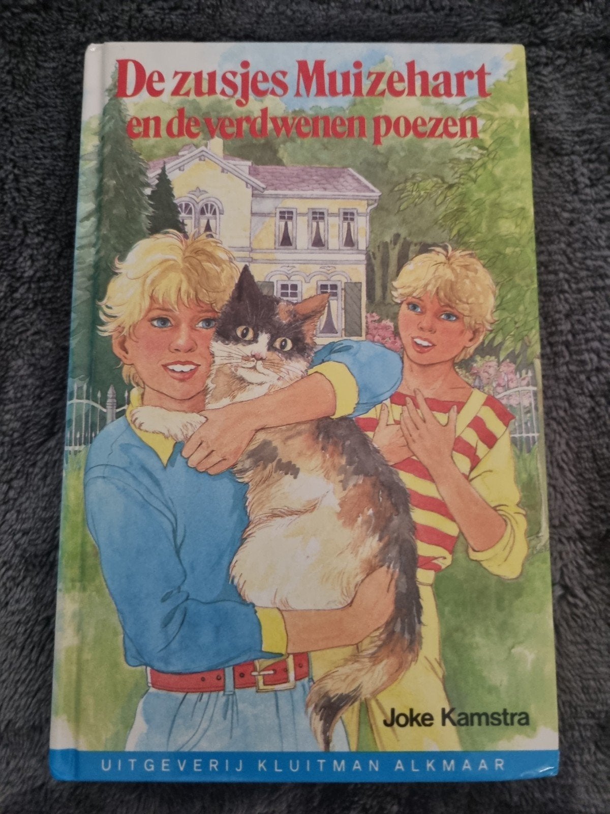 De Zusjes Muizehart en de verdwenen poezen - Joke Kamstra, Ophalen of Verzenden, Gelezen, Joke kamsma