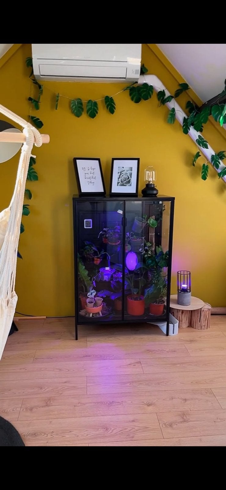 Greenhouse/ vitrinekast, Ophalen, Zo goed als nieuw, 25 tot 50 cm, Minder dan 100 cm