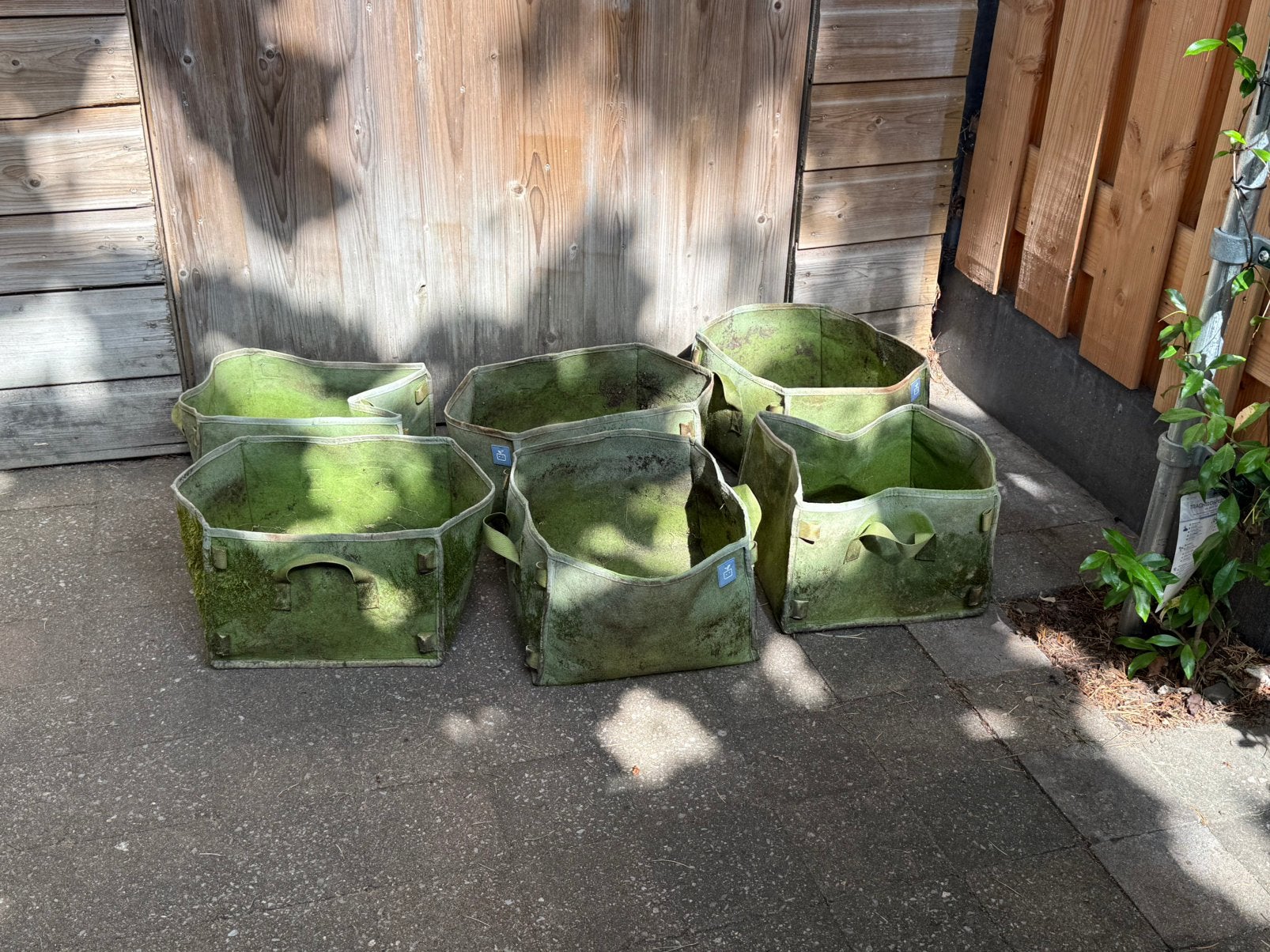 Makkelijke mini moestuin mandjes 6 stuks, Overige materialen, Gebruikt, Minder dan 30 cm, Minder dan 60 cm