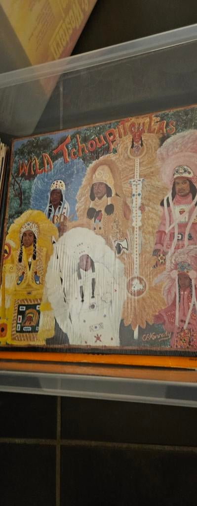 Wild Tchoupitoulas Vinyl LP - Klassieke Mardi Gras Indianen, Cd's en Dvd's, Ophalen of Verzenden, 1970 - 1979, Gebruikt