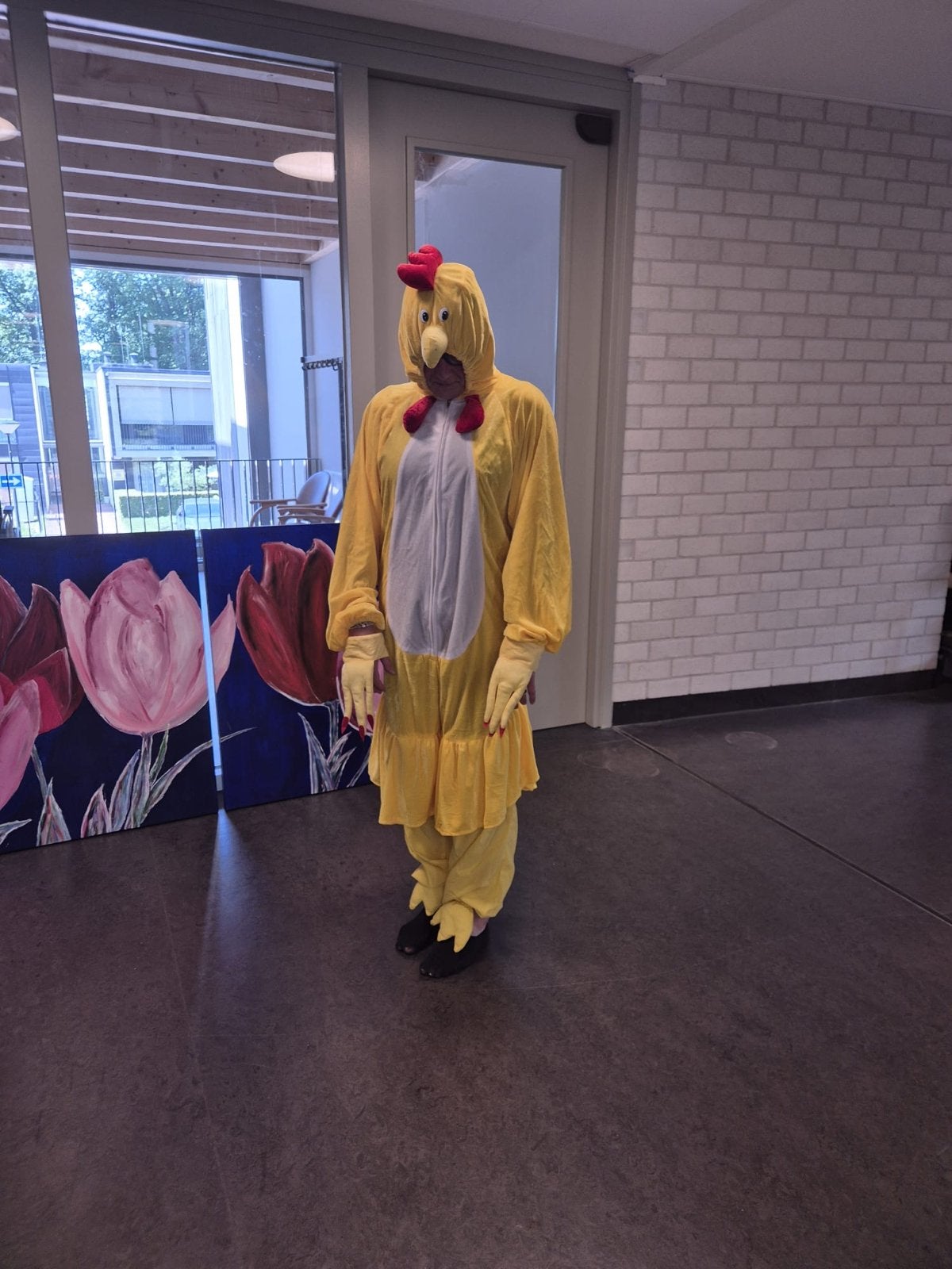 5 Leuke kuiken verkleedpakken, Kleding | Dames, Carnavalskleding en Feestkleding, Zo goed als nieuw, Kleding, Carnaval, Maat 46/48 (XL) of groter