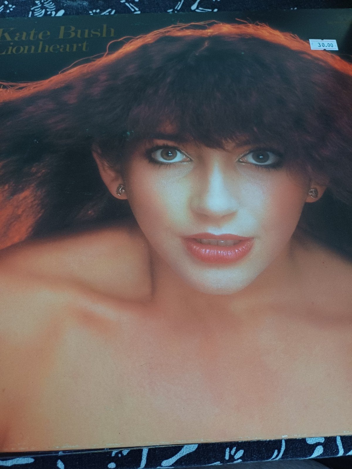 kate bush, Ophalen of Verzenden