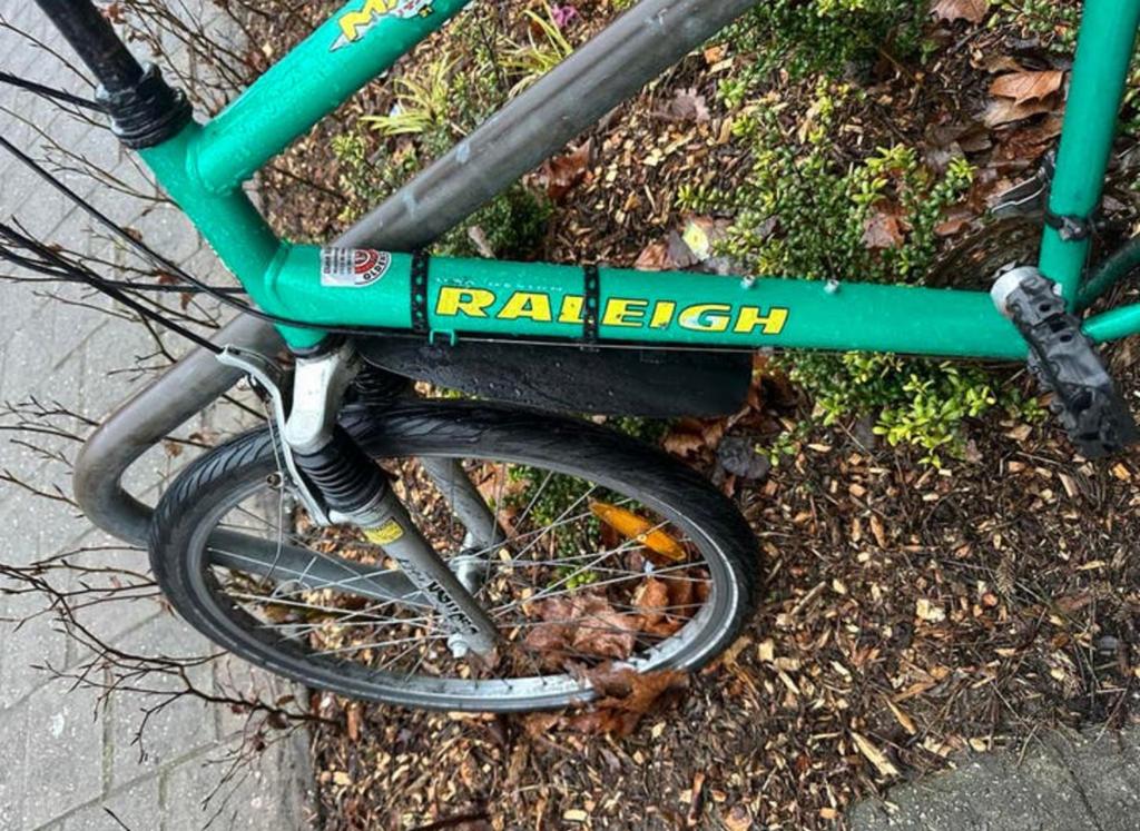 Raleigh Mountainbike - Groen, Gebruikt, Gebruikt, Hardtail, 53 tot 57 cm, Ophalen