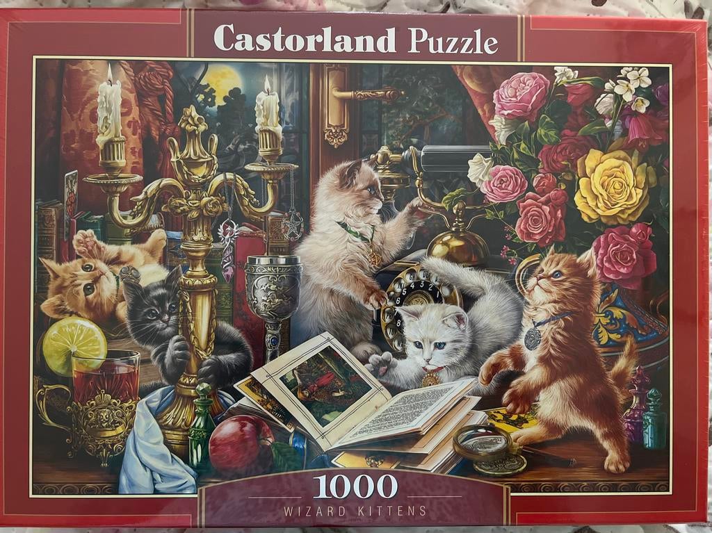 Castorland Legpuzzel 1000 stukjes - Wizard Kittens, Verzenden, Meer dan 50 stukjes, Nieuw, 6 jaar of ouder