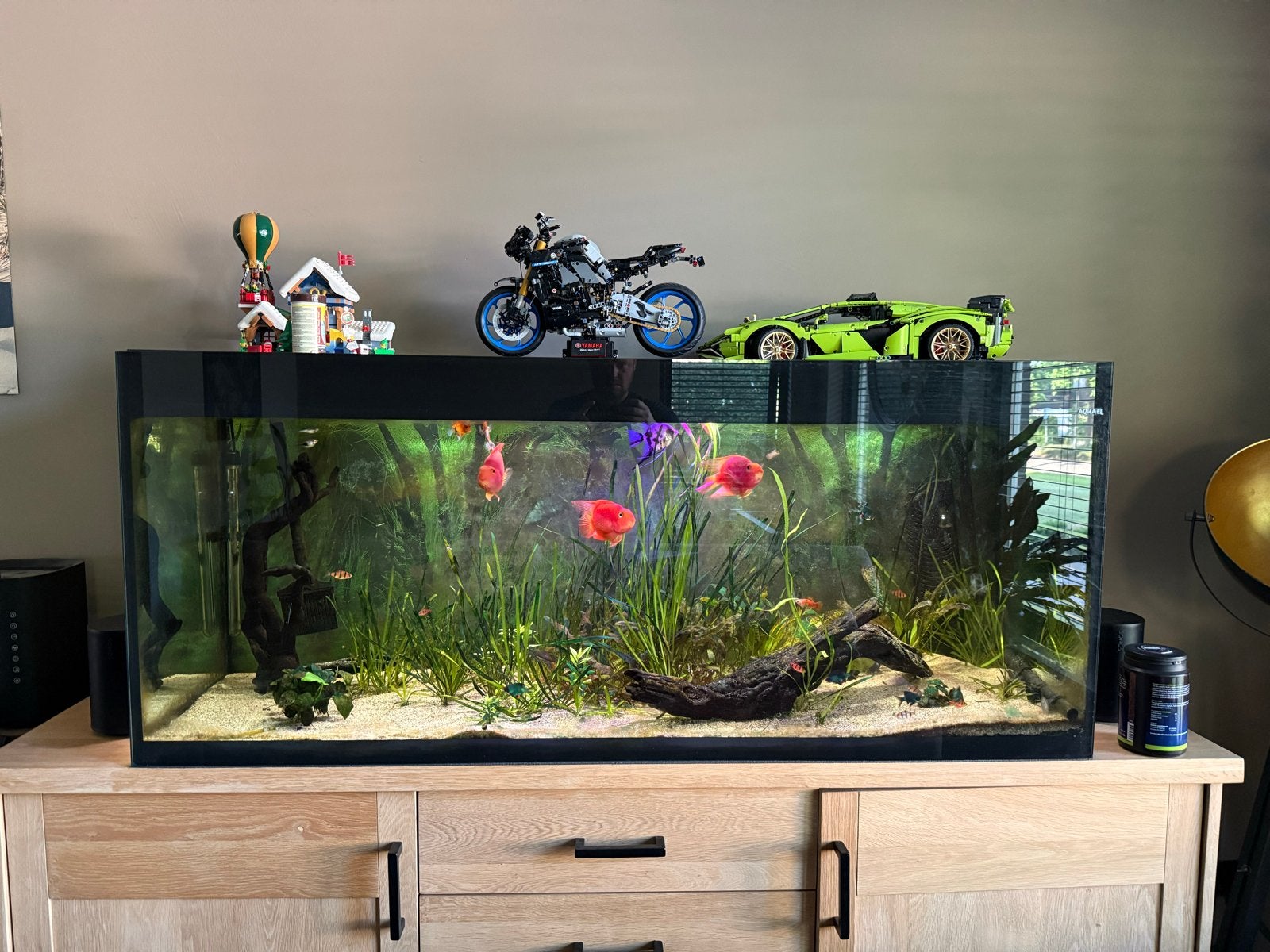 Aquarium 150 cm Aquael, Ophalen, Gevuld zoetwateraquarium, Aquael, Inclusief vissen
