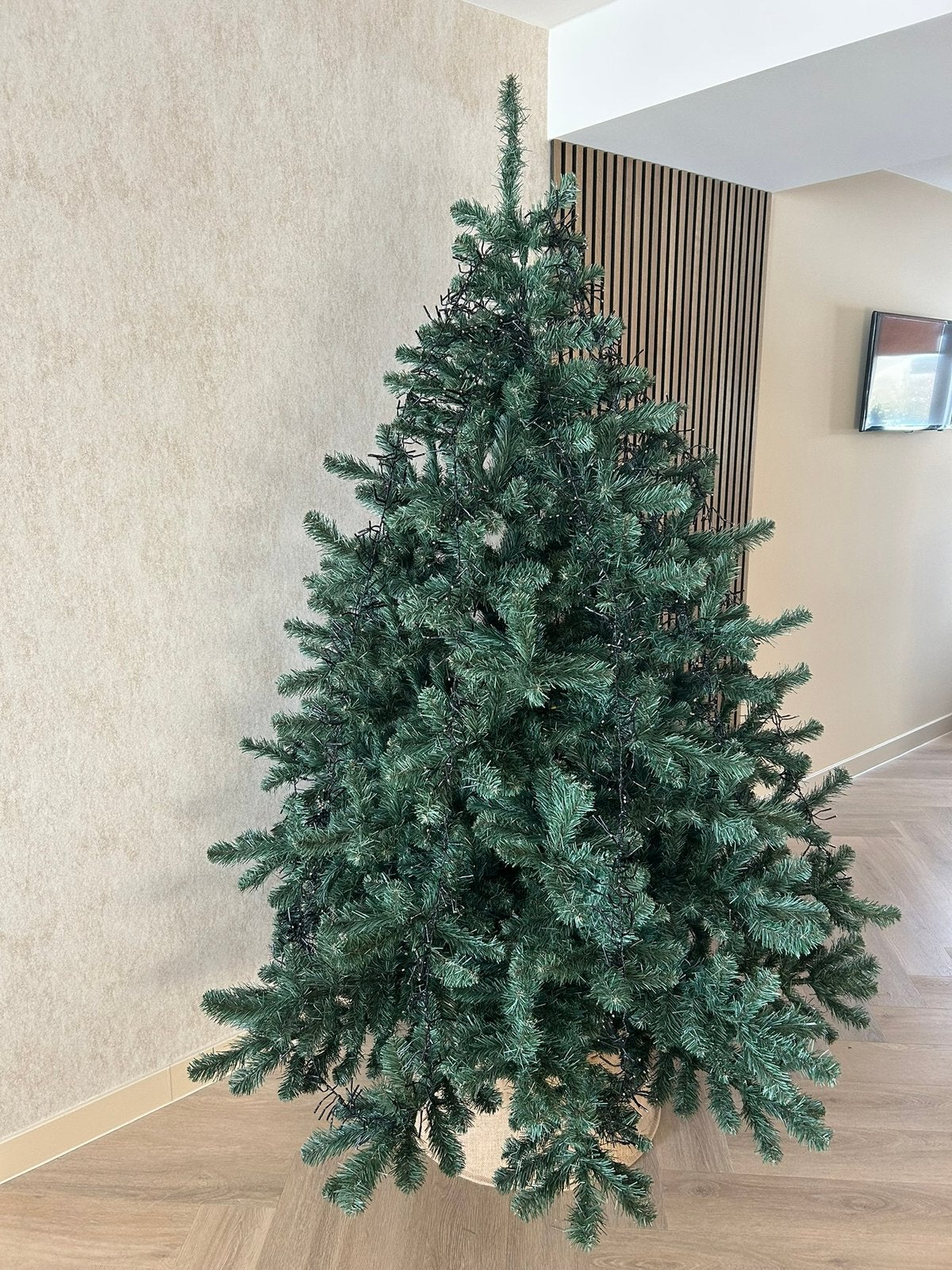 Truimph kerstboom, Ophalen, Zo goed als nieuw