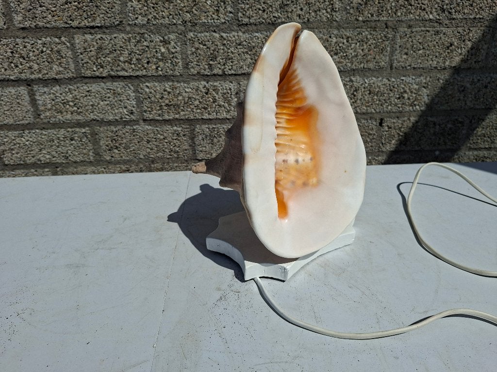 grote lamp op voet Cassis Cornuta schelp, Waterbestendig, Ophalen of Verzenden, Zo goed als nieuw