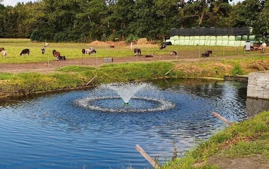 fontein, extra zuurstof help uw vijver gezond te houden, Tuin en Terras, Ophalen of Verzenden, Nieuw, Rvs, Overige typen