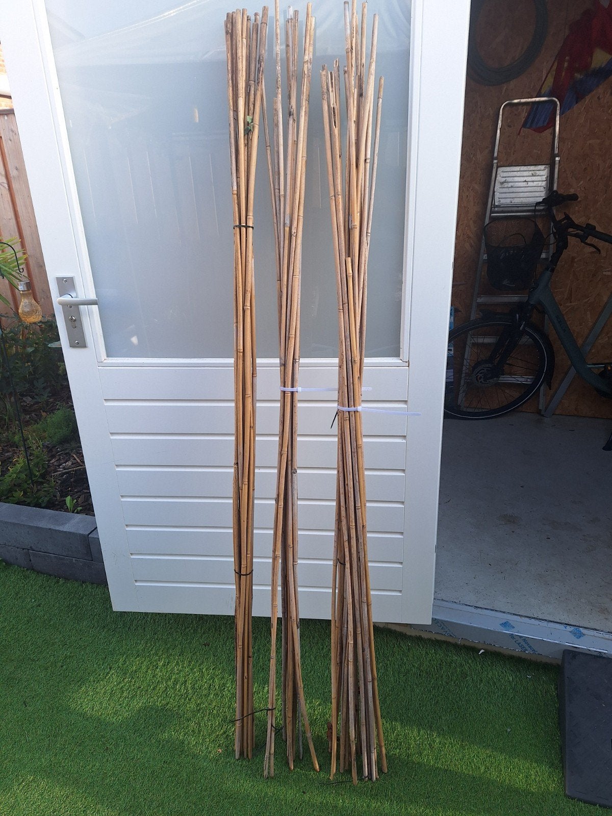 Bamboe stokken voor tuin of decoratie, Tuin en Terras, Ophalen, Gebruikt