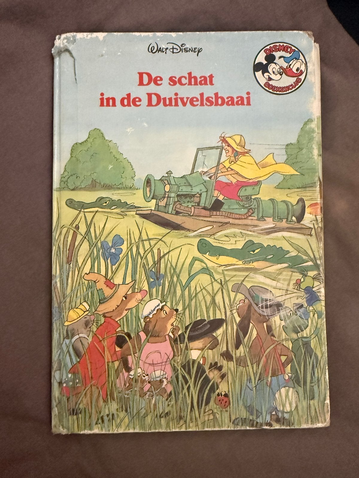 Walt Disney De Schat In De Duivelsbaai, Boeken, Ophalen of Verzenden, Zo goed als nieuw, Fictie algemeen