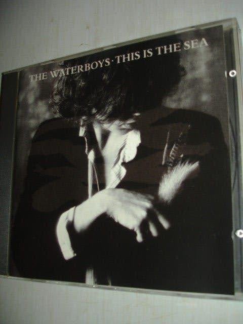 The Waterboys- This is the Sea- (NIEUW), Verzenden, Nieuw in verpakking, Poprock